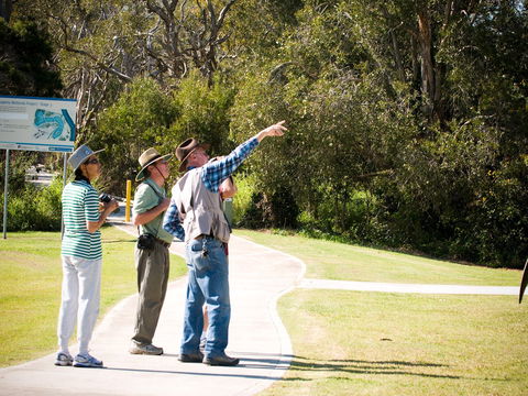 Eagleby Wetlands - Kingaroy Accommodation 2