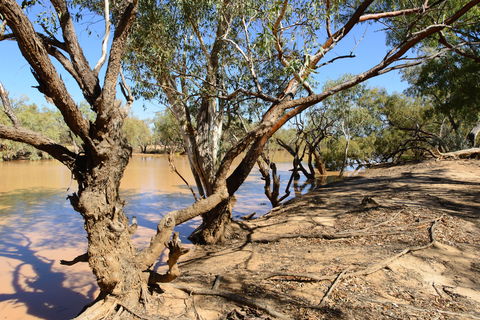 Eulo Five Mile Waterhole - Kingaroy Accommodation 0