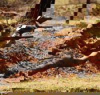 Freycinet Paintball and Campground - Kingaroy Accommodation