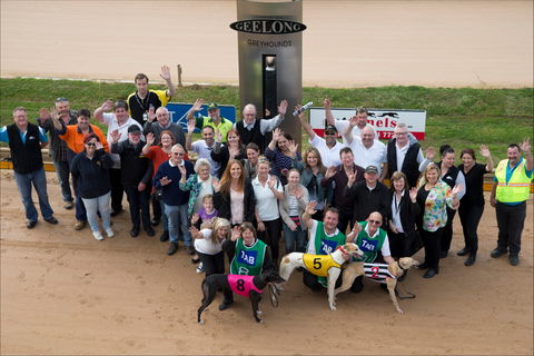 Geelong Greyhound Racing Club - The Beckley Centre - Kingaroy Accommodation 0