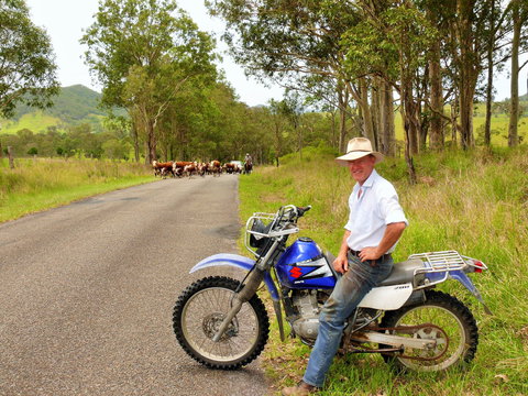 Gloucester Museum - Kingaroy Accommodation 2