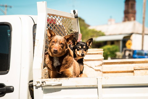 Harden Murrumburrah - Kingaroy Accommodation 0