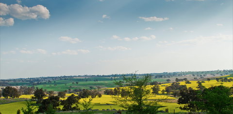 Harden Murrumburrah - Kingaroy Accommodation 1