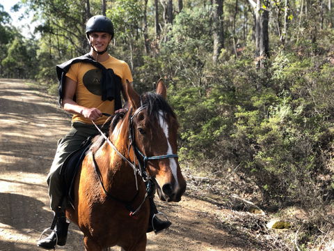 Horse Riding Tasmania - Kingaroy Accommodation 2