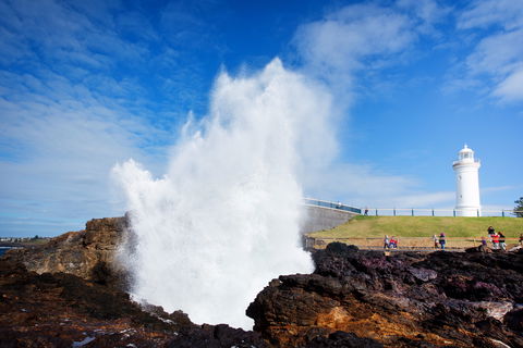 Kiama Blowhole - Kingaroy Accommodation 0