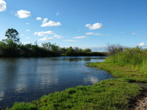 Lagoon Creek - Kingaroy Accommodation 2
