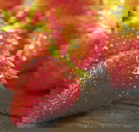 Lambs Valley - Kingaroy Accommodation