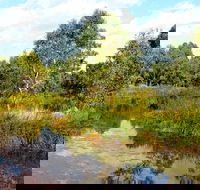 Mansfield Mullum Wetlands - Kingaroy Accommodation
