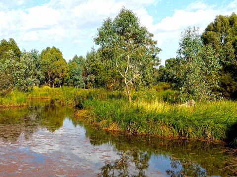 Mansfield Mullum Wetlands - Kingaroy Accommodation 0