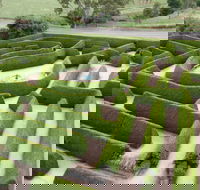 Mintaro Maze