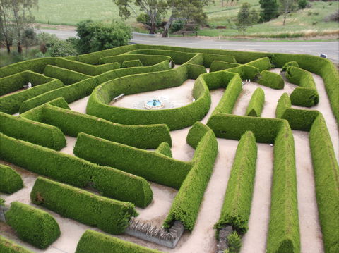Mintaro Maze - Kingaroy Accommodation 0