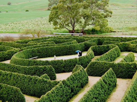 Mintaro Maze - Kingaroy Accommodation 1