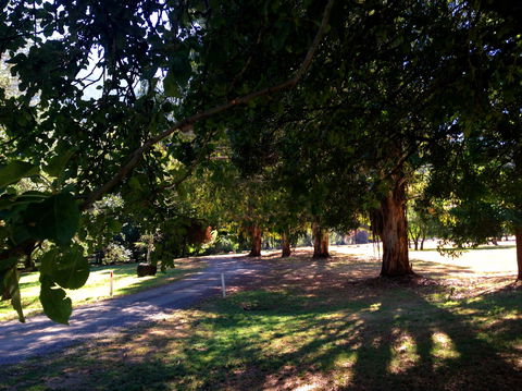Mirimbah Park - Kingaroy Accommodation 0