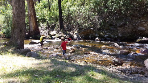 Mirimbah Park - Kingaroy Accommodation 1