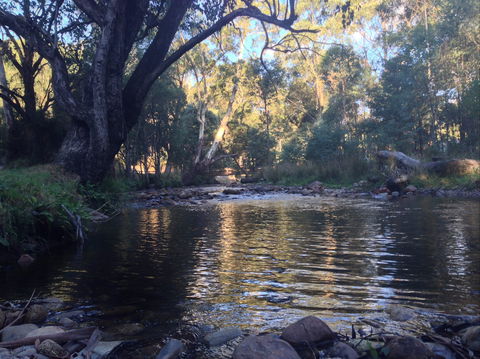 Mirimbah Park - Kingaroy Accommodation 2