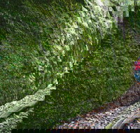 Morisset - Kingaroy Accommodation