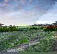 Nature and Foodies Trail - Kingaroy Accommodation