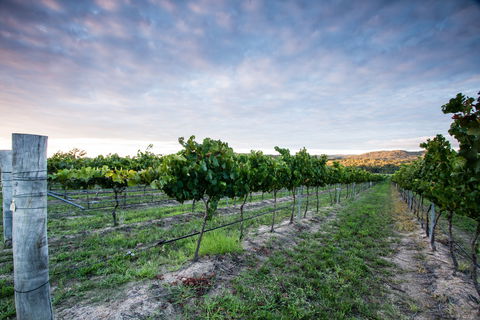 Nature And Foodies Trail - Kingaroy Accommodation 0