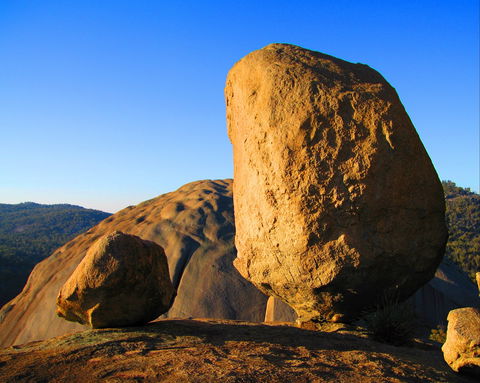 Nature And Foodies Trail - Kingaroy Accommodation 1