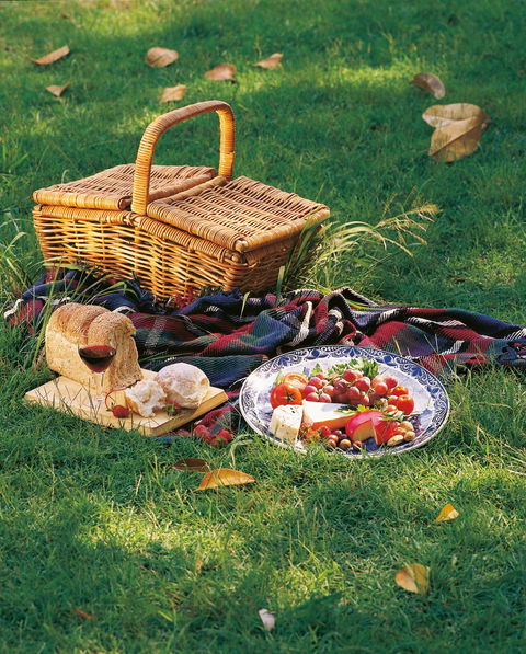 Nature And Foodies Trail - Kingaroy Accommodation 2