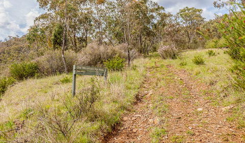 Old Mountain Road Walking Track - Kingaroy Accommodation 0