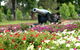 Queens Park, Toowoomba - thumb 1