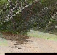 Riverview walking track - Kingaroy Accommodation