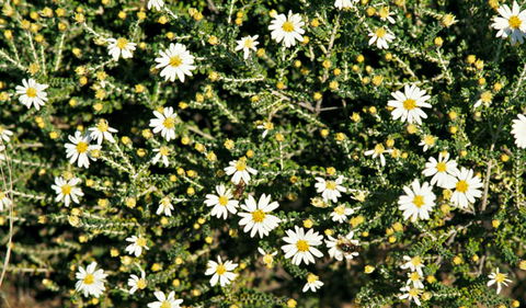 Round Tank Picnic Area - Kingaroy Accommodation 0