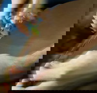 Simon Martin Whips  Leathercraft - Kingaroy Accommodation