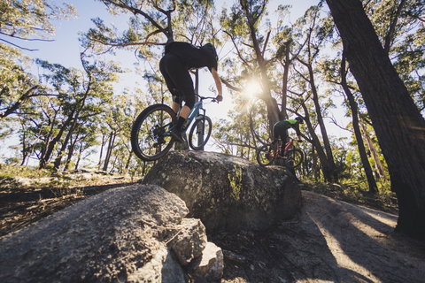 St Helens Mountain Bike Trails - Kingaroy Accommodation 1