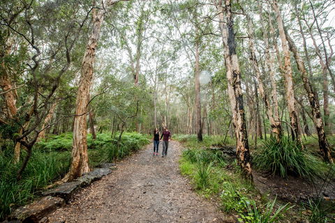 Venman Bushland National Park - Kingaroy Accommodation 0