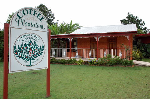 Wombah Coffee Plantation - Kingaroy Accommodation 0