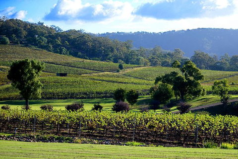 Ivanhoe Wines: Trip Advisor Seated Wine Tasting Masterclass - Kingaroy Accommodation 4
