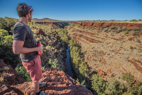 Gorge Rim Walk, Dales Gorge - Kingaroy Accommodation 0
