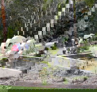 Maroochy Regional Bushland Botanic Garden - Kingaroy Accommodation