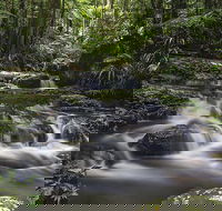 Protesters Falls Walking Track - Kingaroy Accommodation