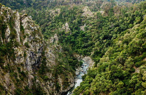 Tiara Walking Track - Kingaroy Accommodation 0