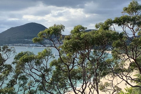 Newcastle Airport To The Tomaree Peninsula. - Kingaroy Accommodation 0