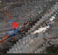 Small-Group Weekend Rock Climbing Adventure from Katoomba - Kingaroy Accommodation