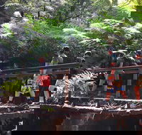 Glow Worm Tunnel Hike - Kingaroy Accommodation