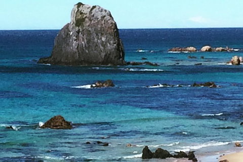 Narooma And Tilba Valley Private Tour - Kingaroy Accommodation 9