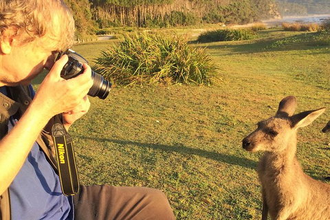 Highlights Of The Eurobodalla (half Day Private Tour) - Kingaroy Accommodation 2