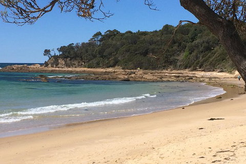 Highlights Of The Eurobodalla (half Day Private Tour) - Kingaroy Accommodation 5