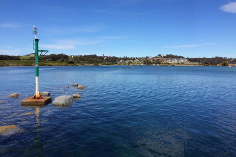 Highlights Of The Eurobodalla (half Day Private Tour) - Kingaroy Accommodation 14