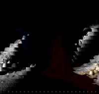 Jenolan Caves Extended Temple of Baal Cave Tour - Kingaroy Accommodation