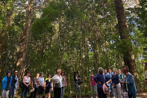Breakfast Bushwalk Tour In Captain Cook\'s Monument - Kingaroy Accommodation 0