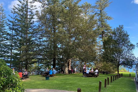 Breakfast Bushwalk Tour In Captain Cook\'s Monument - Kingaroy Accommodation 1