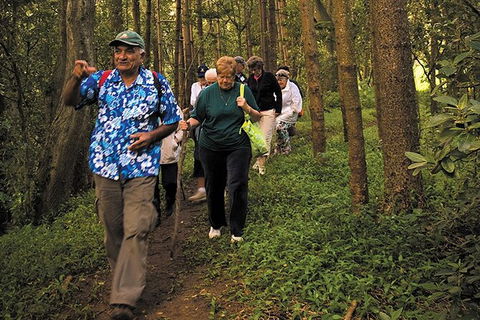 Breakfast Bushwalk Tour In Captain Cook\'s Monument - Kingaroy Accommodation 4