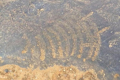 Aboriginal Rock Art - Kingaroy Accommodation 0