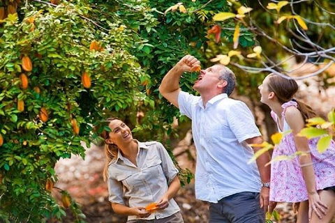 Full-Day Guided Tour Byron Bay With Pickup - Kingaroy Accommodation 1